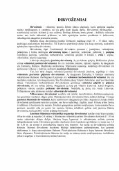 www.speros.lt
